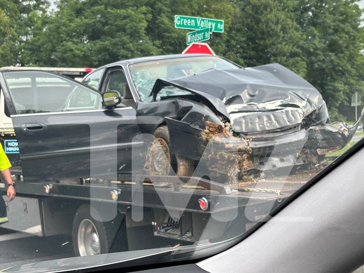 'Godzilla vs. Kong' Star Kaylee Hottle: New Car Crash Photo Shows Severe Damage