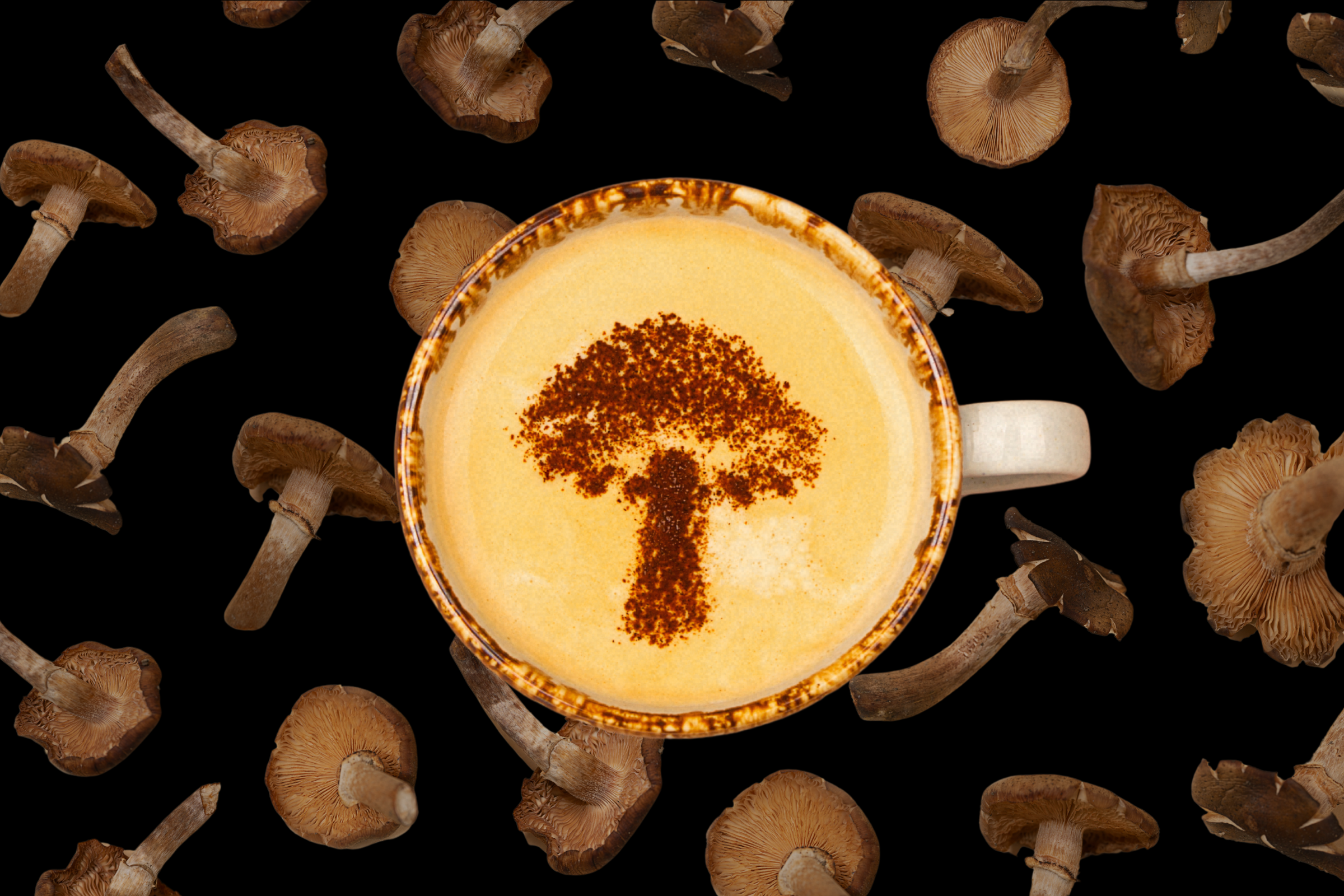 Is mushroom coffee healthy? Here's what to know