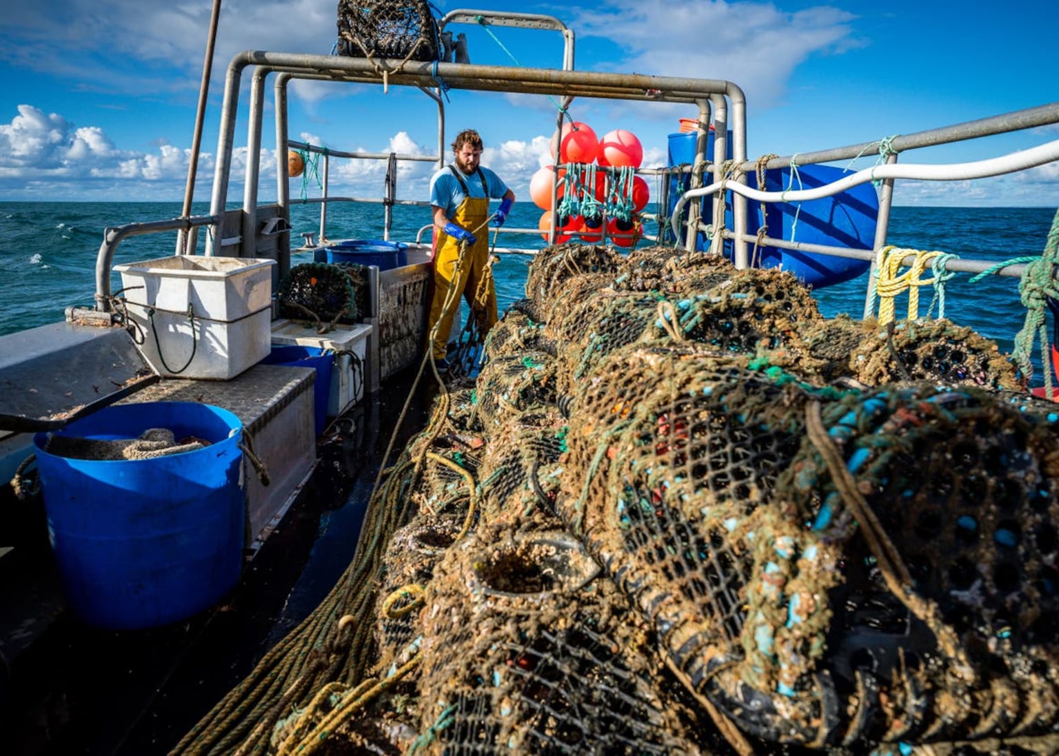 The largest tonnage of European lobster in over a decade was landed in NI in 2024 PICTURE: PA