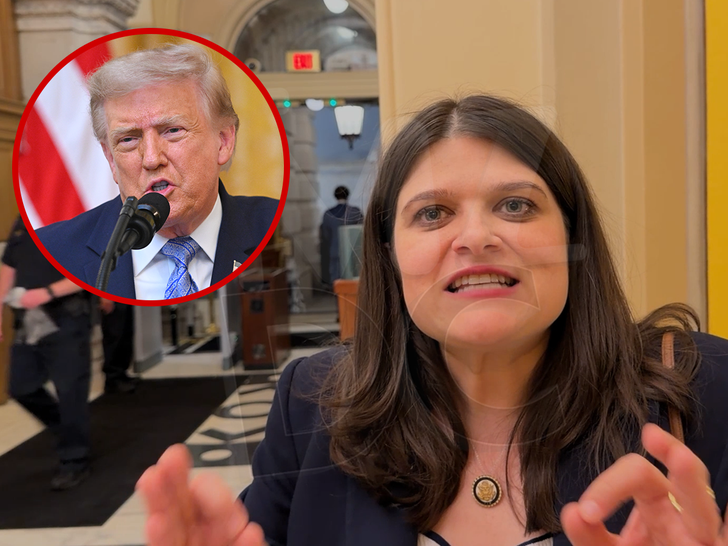 Rep. Haley Stevens defends 'Stick it to 'em' campaign ad as 'authentically Michigan'