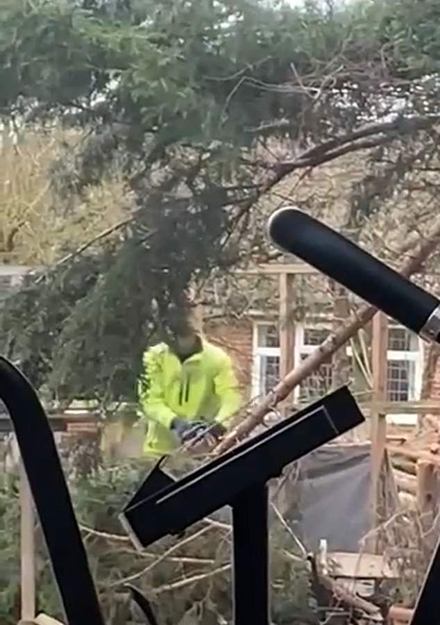 A contractor is seen through Robert and Amanda McCarthy's window chopping down their trees with a chainsaw