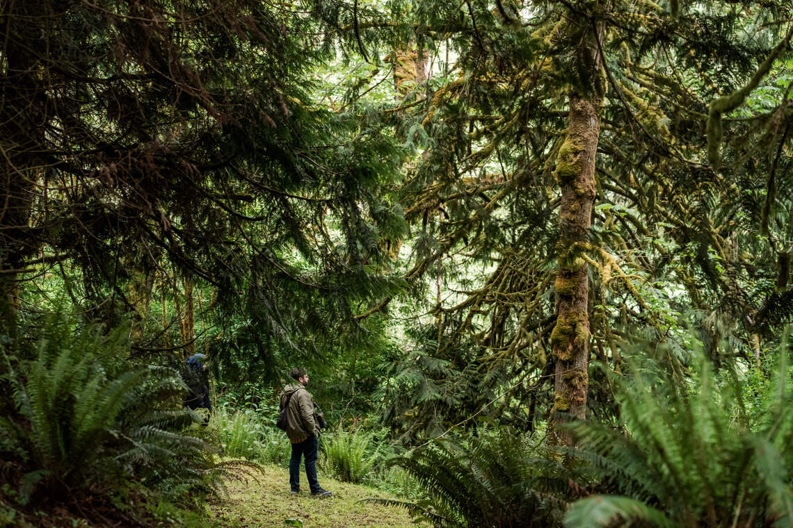 Human compost remains from Earth Funeral are used to nourish plant life across the Olympic Peninsula in Washington state. The company hopes to build a facility in North Carolina if laws are changed.