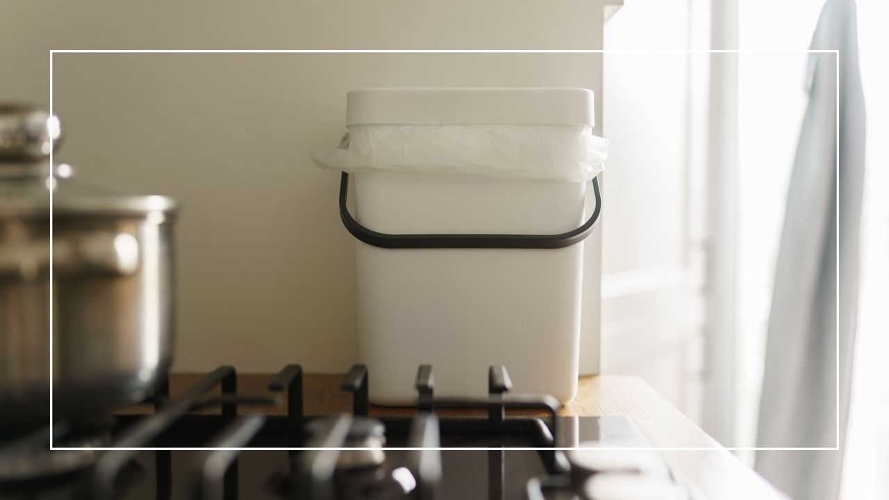How to keep a bin smelling fresh in summer: 5 tips to combat stubborn odours