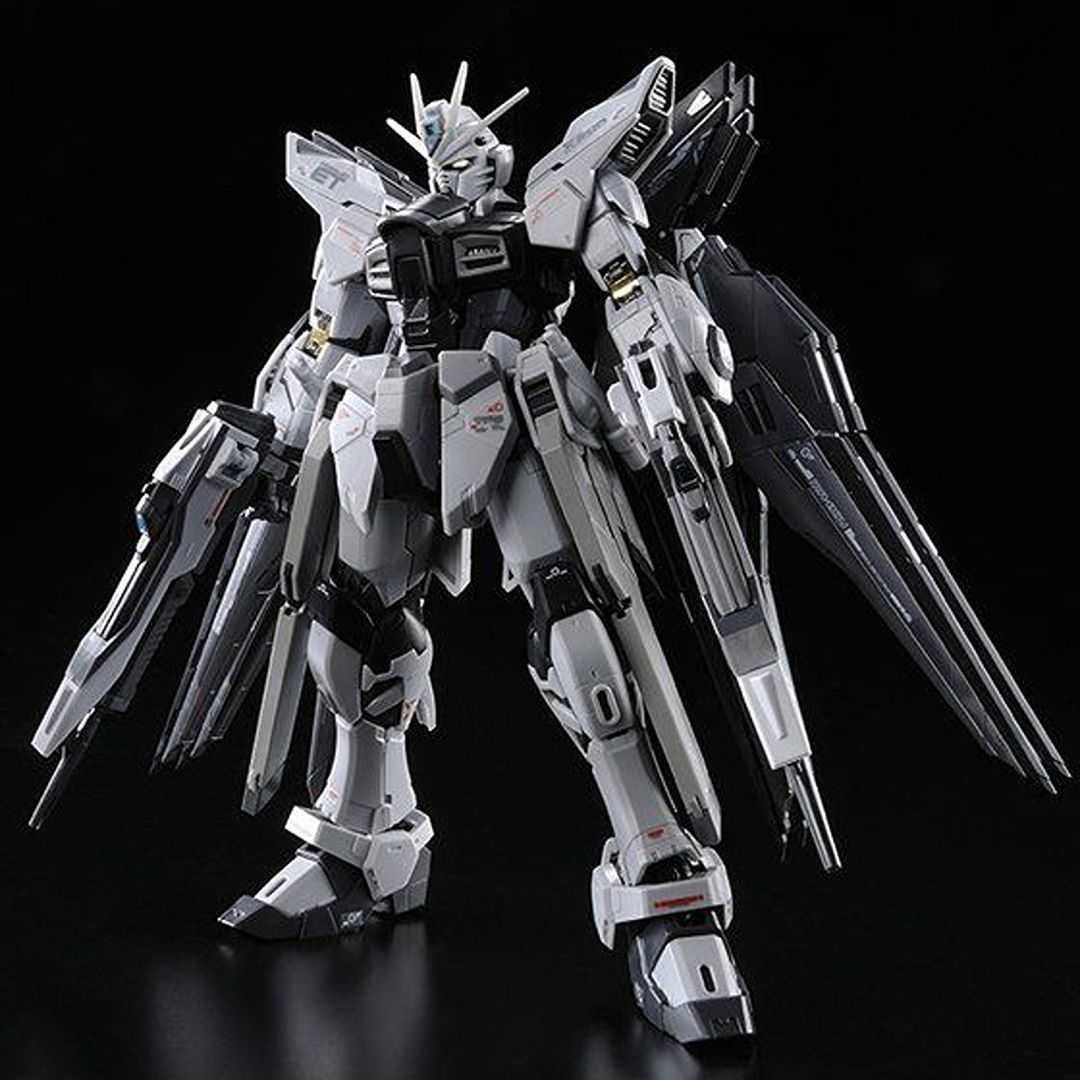 The RG 1/144 Strike Freedom Gundam Deactive Mode model kit.