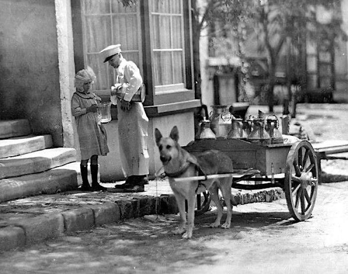 Snapshots Of Another Time: 44 Important Historical Images With More To Say