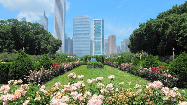 The absolute most beautiful gardens in Chicago