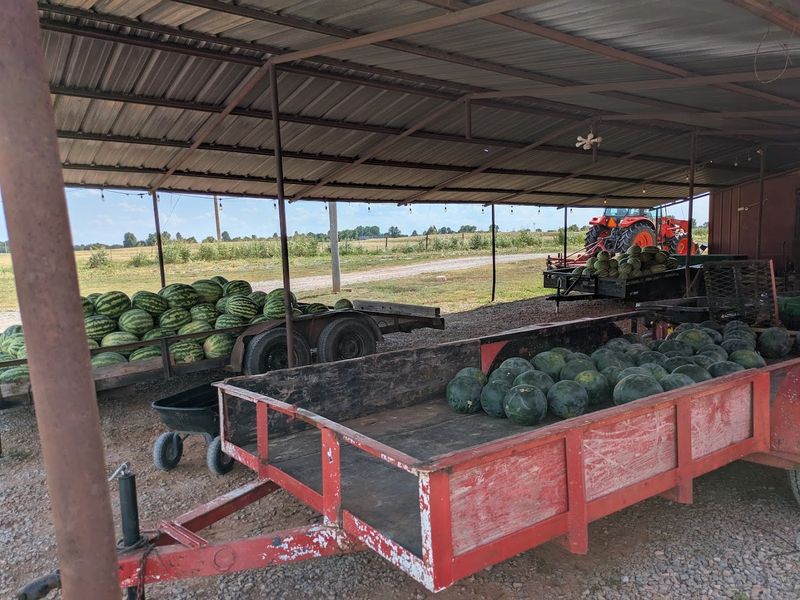 The State Vegetable Story