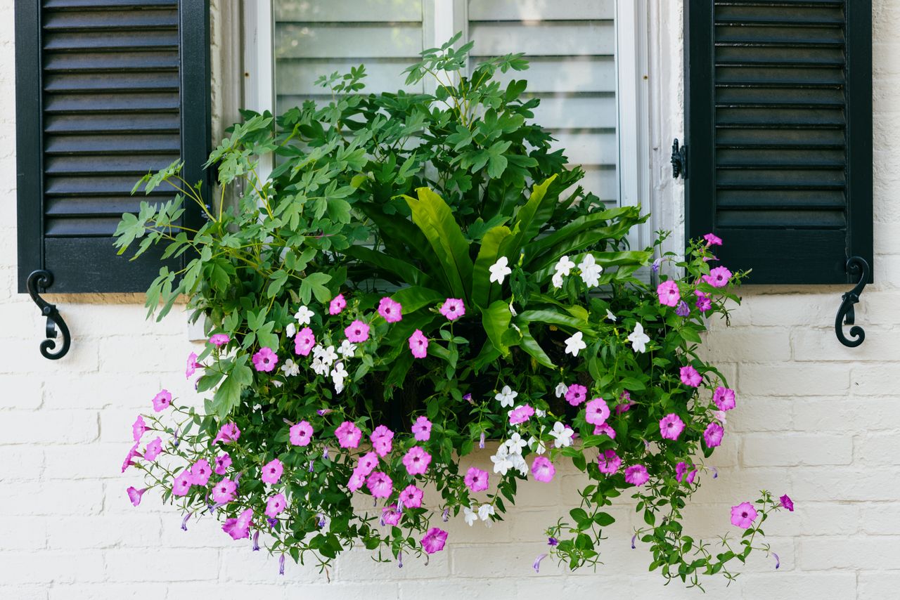 Window with green shutters adorned with a hanging flower arrangement featuring various plants and blossoms