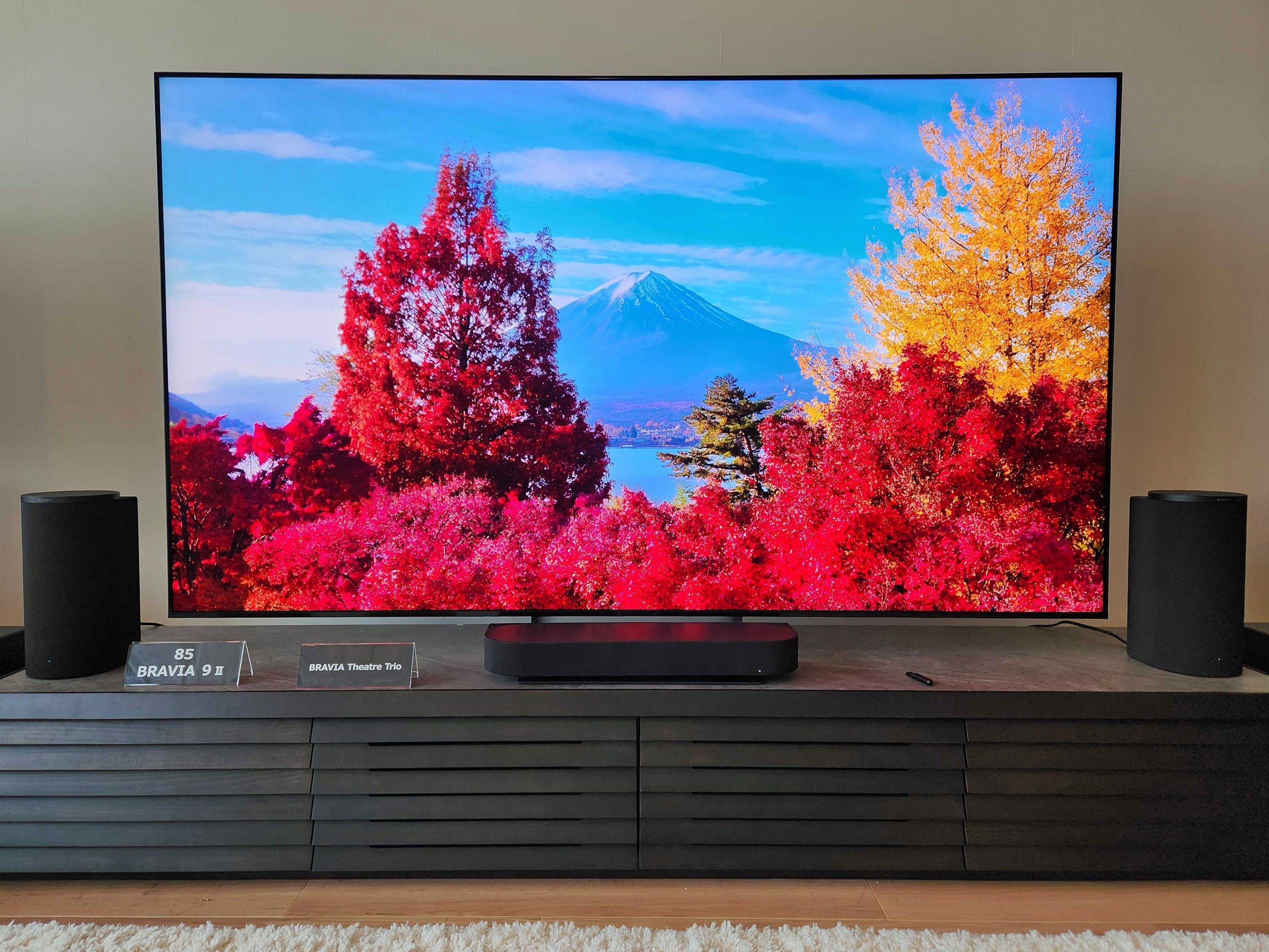 Best TVs for picture quality in 2026