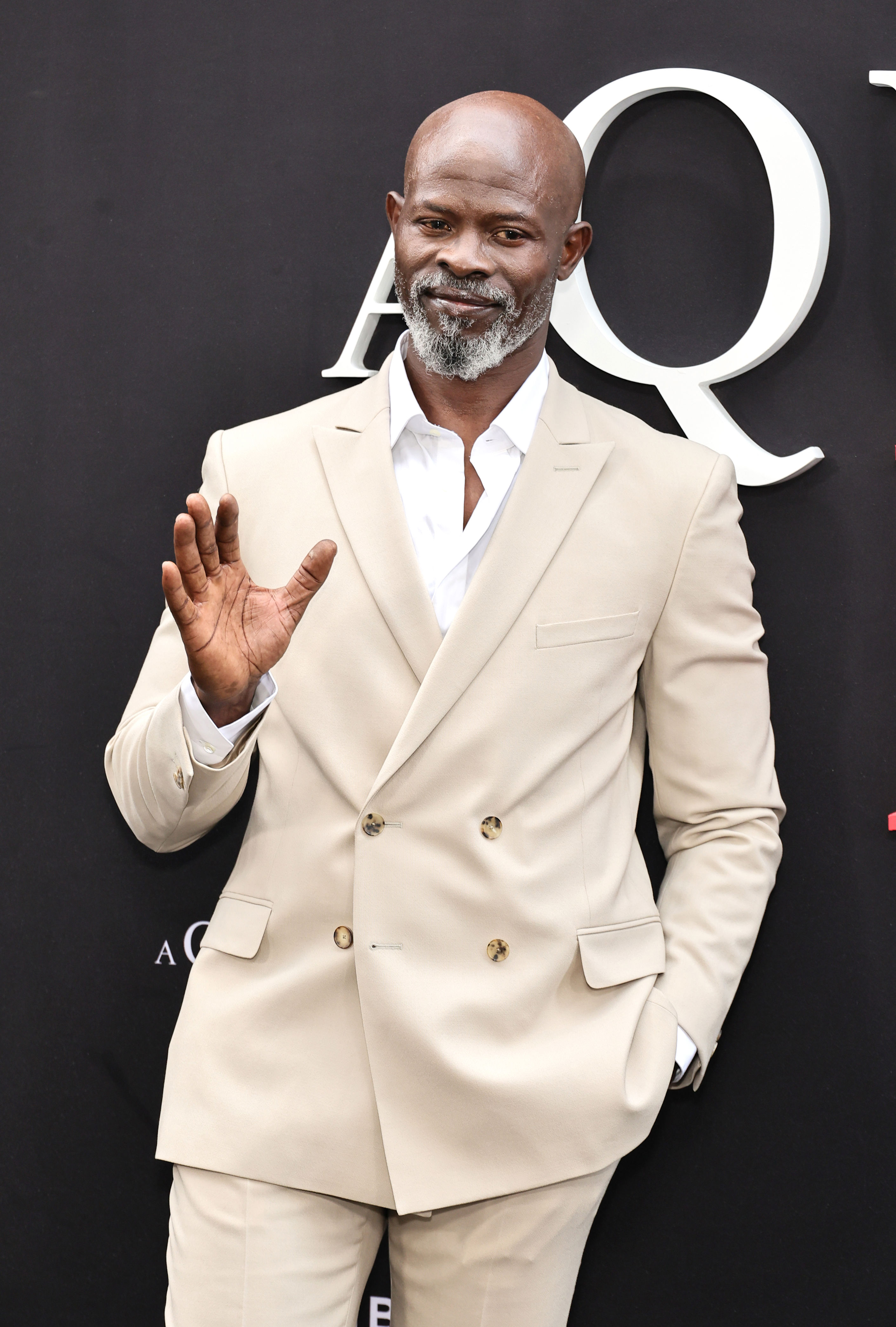 Djimon Hounsou at the 