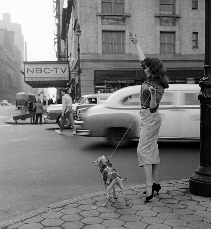 Snapshots Of Another Time: 44 Important Historical Images With More To Say