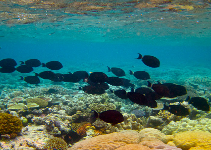 45 Disappointed Tourists Share Travel Destinations That Aren’t Worth The Hype