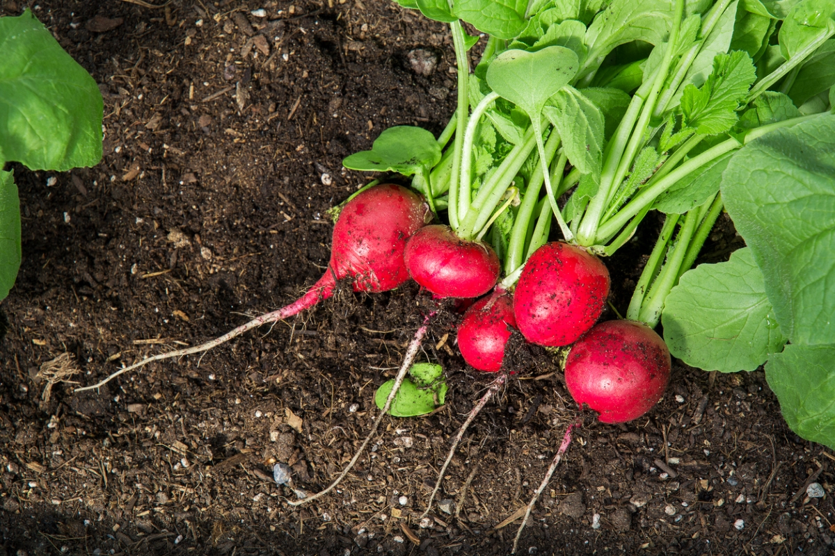 Photo: iStock