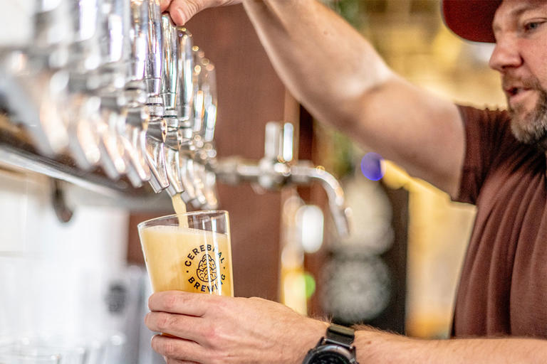 Brewers Association 2026 midyear report: Pressure persists as signs of ...