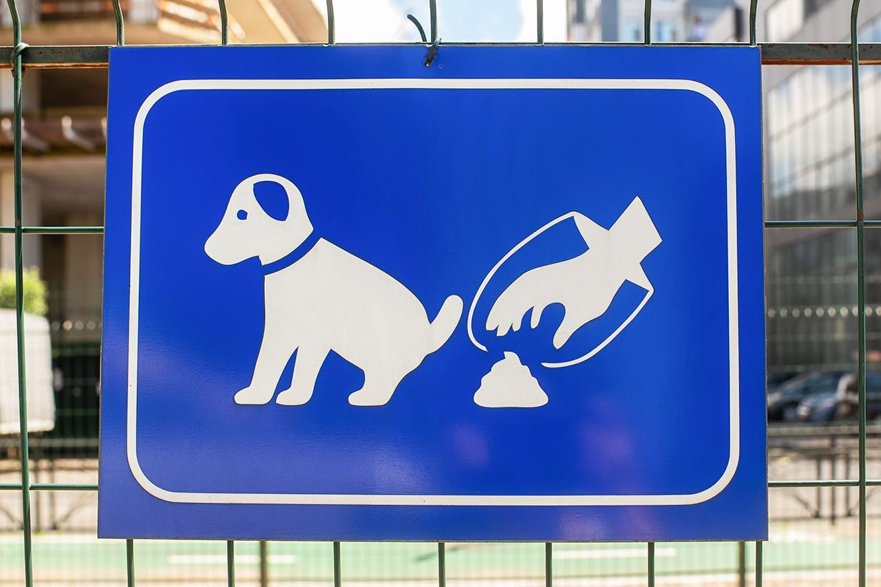 Pet waste laws 101: Written and unwritten rules every good neighbor should know