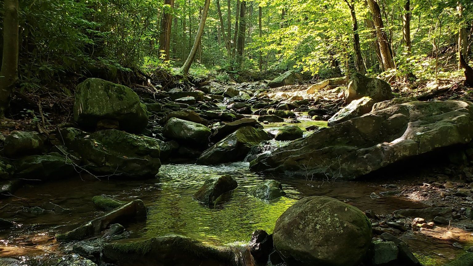 Views of a dense woodland and a flowing creek with a rocky bed, near the Blue Hole, a swimming hole in Pennsylvania.