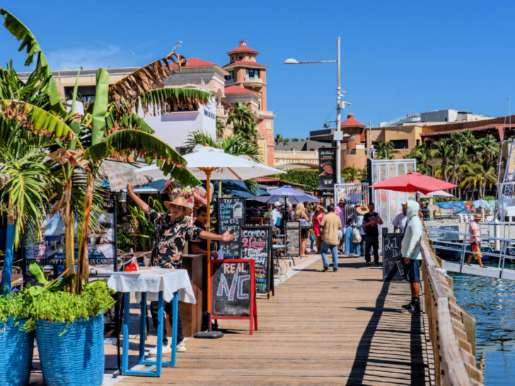 Why The Cabo Marina Will Be Busier Than Ever This Coming Fall & Winter
