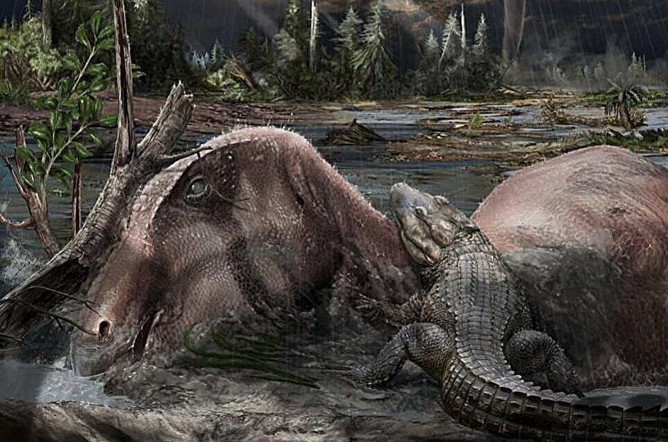 Storms that built a graveyard: Ancient monsoons created a spectacular dinosaur fossil site