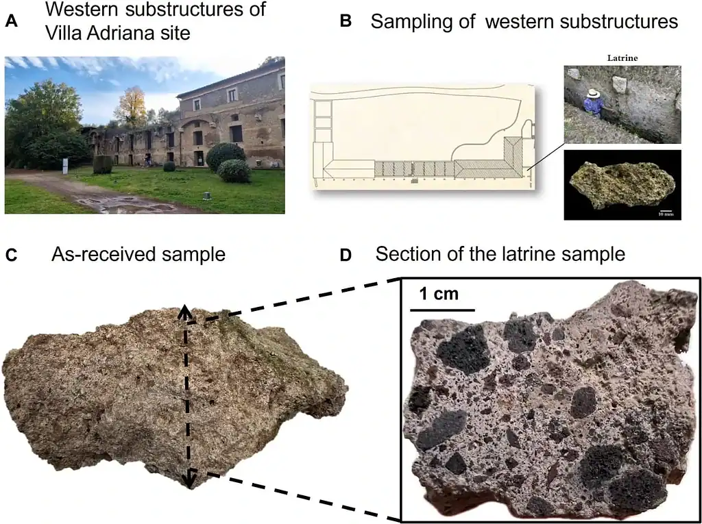Villa Adriana. (A) Photograph and (B) map showing the sampling area in the Canopus western substructure of Hadrian’s Villa. (C) The concrete sample. (D) A section of the sample as received. (A) Photo courtesy of Istituto Villa Adriana e Villa d’Este. Credit: Zhu et al., Science Advances (2026)