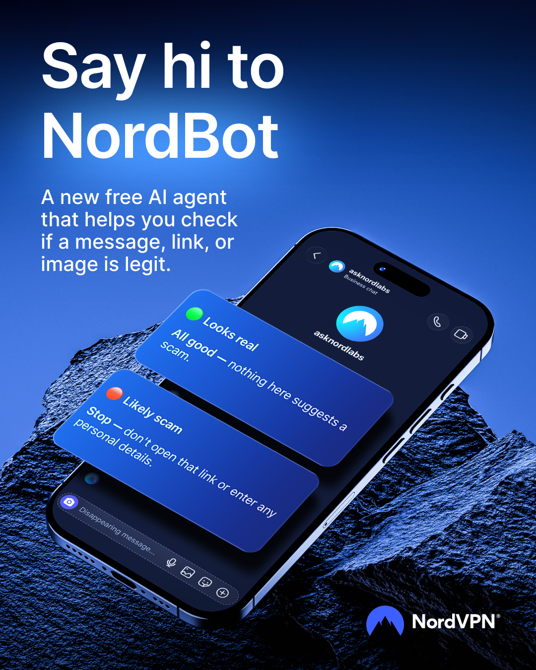 NordBot chatbot promo image