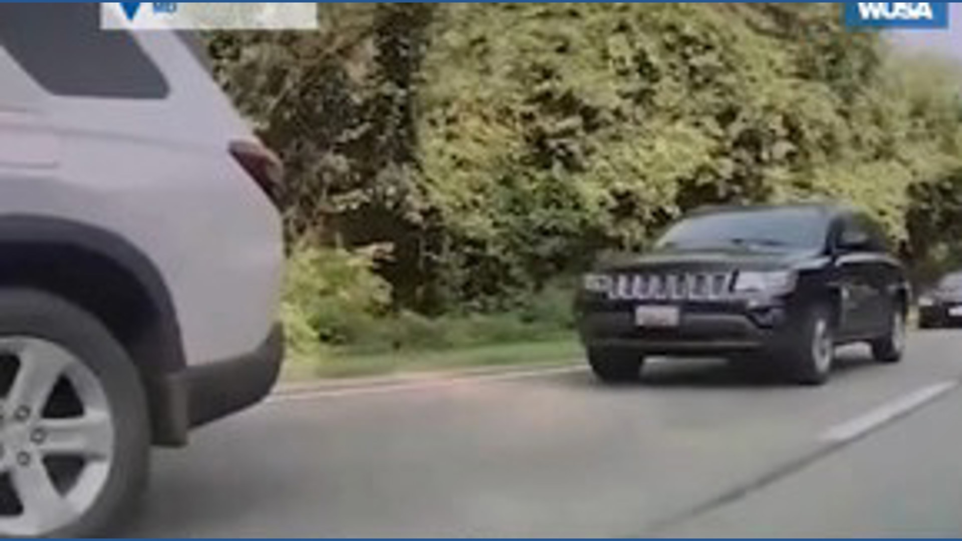 People run from ICE, US Park Police on Clara Barton Parkway