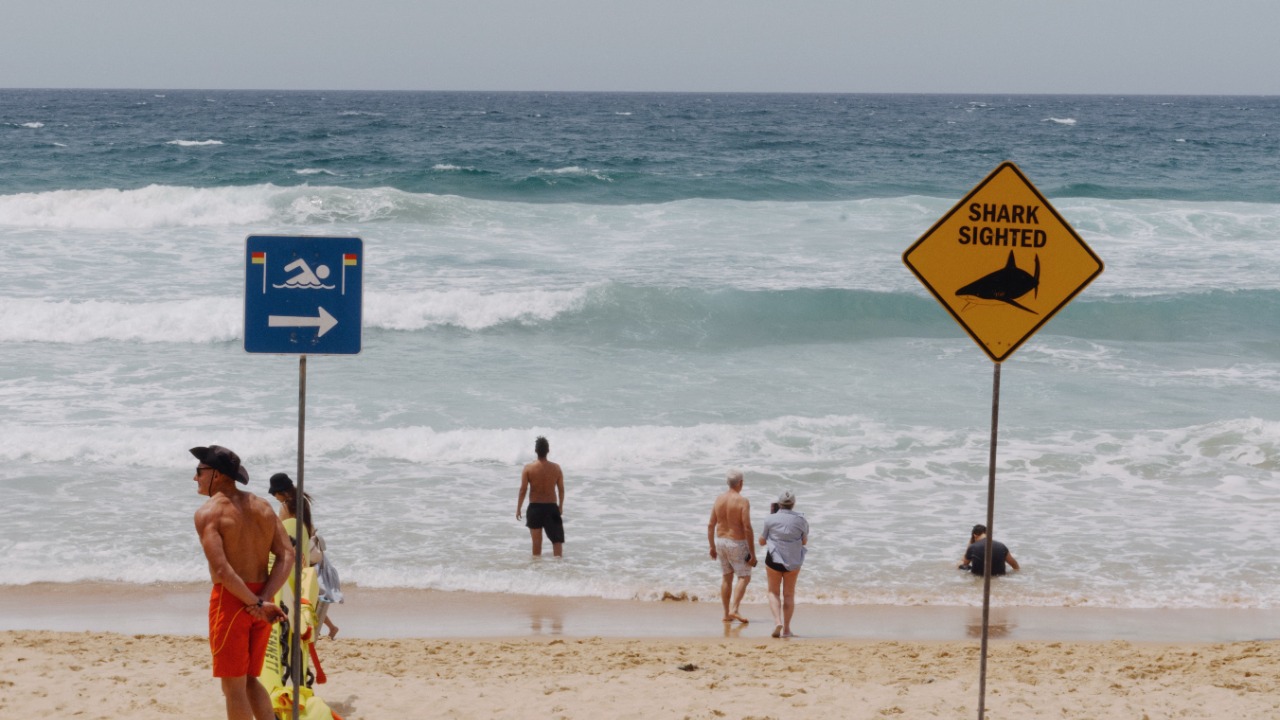 A shark bit a surfer in the face at New Smyrna Beach, Florida’s shark-bite capital