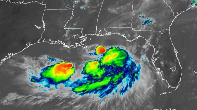 System off Florida edges toward tropical depression, putting the Gulf Coast on alert