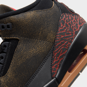 Air Jordan 3 Retro OG Not Nice (detail).