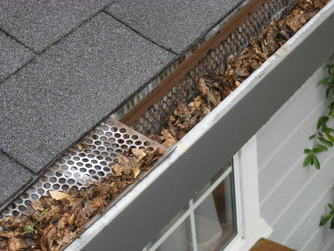 7. Gutters that look fine but drain poorly (Image Credits: Pixabay)