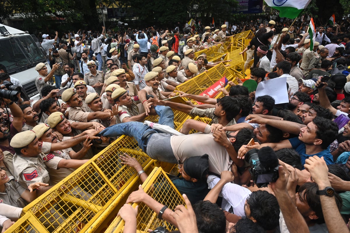 Police crackdown on India’s 'cockroach' protest appears to backfire