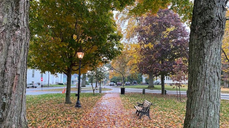 Boston's quiet suburb is a charming town with New England scenery, local eats, and a walkable square
