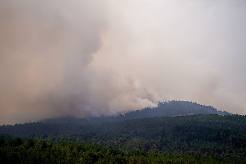 Wildfires in Guadalajara