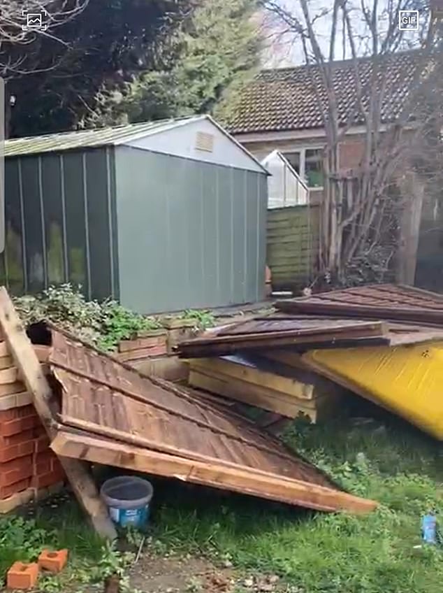 During the McCarthys eight-year ordeal their neighbours took a chainsaw to their fence panels and ripped them down