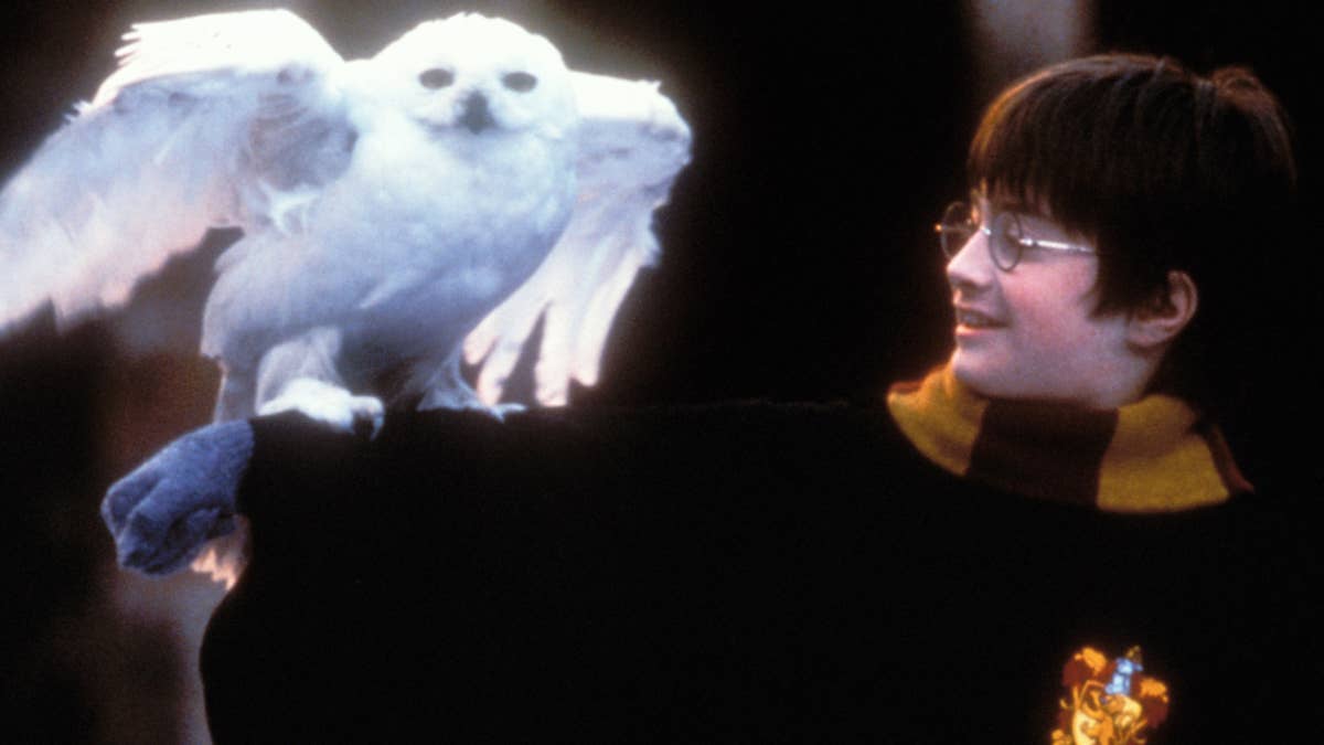 'Harry Potter and the Sorcerer's Stone' returns to theaters with 12 minutes of bonus footage
