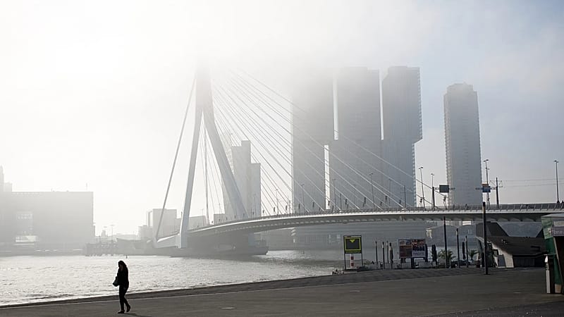 Two trams collide on Rotterdam's Erasmus Bridge, injuring 15