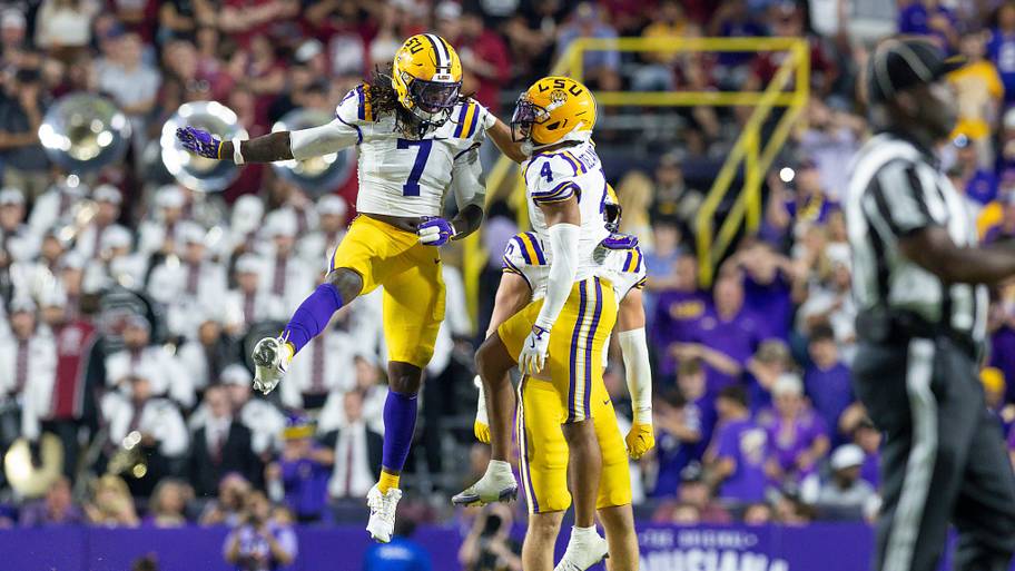 LSU celebrates a play against South Carolina in 2025