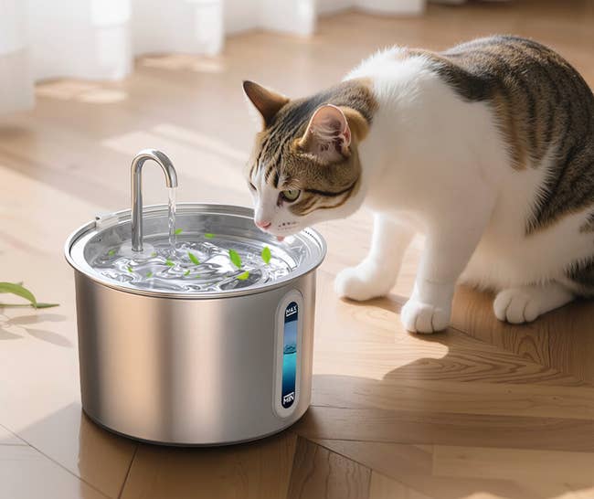 Cat drinking from a sleek, modern pet water fountain on a wooden floor