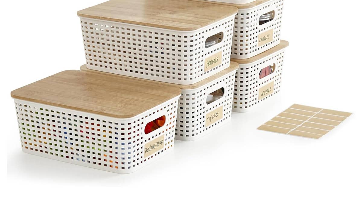 bagnizer-6-pack-of-storage-bins-with-lids-1