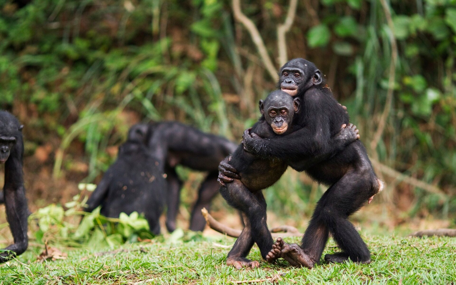 How to stop an argument? Hold hands, scientists say