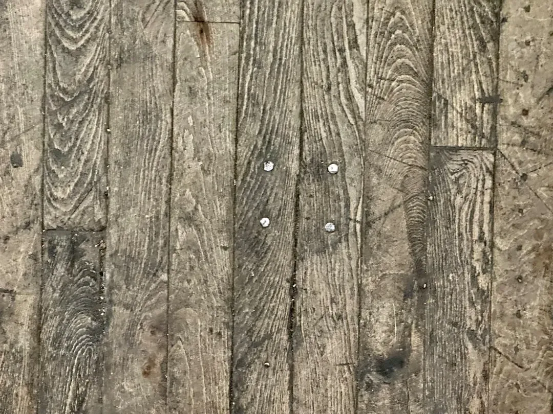 6. Floors that feel slightly soft or bouncy underfoot (Image Credits: Unsplash)