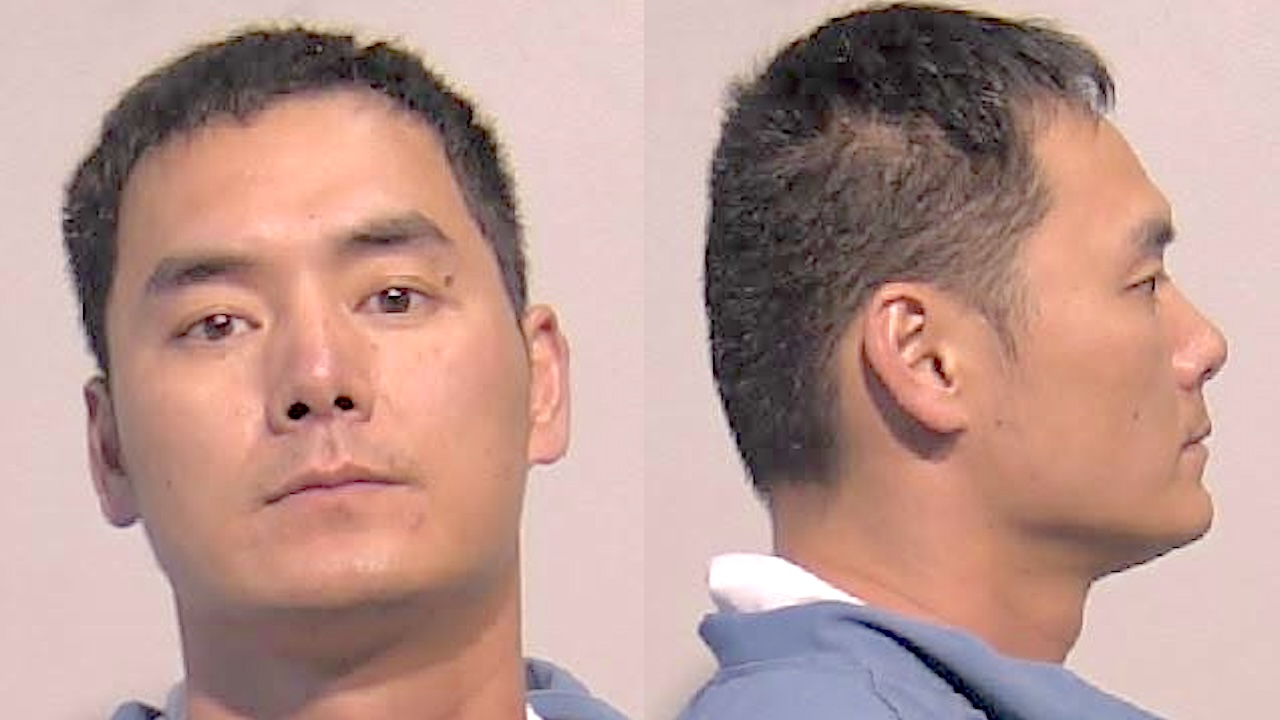 Didi Zou mugshot