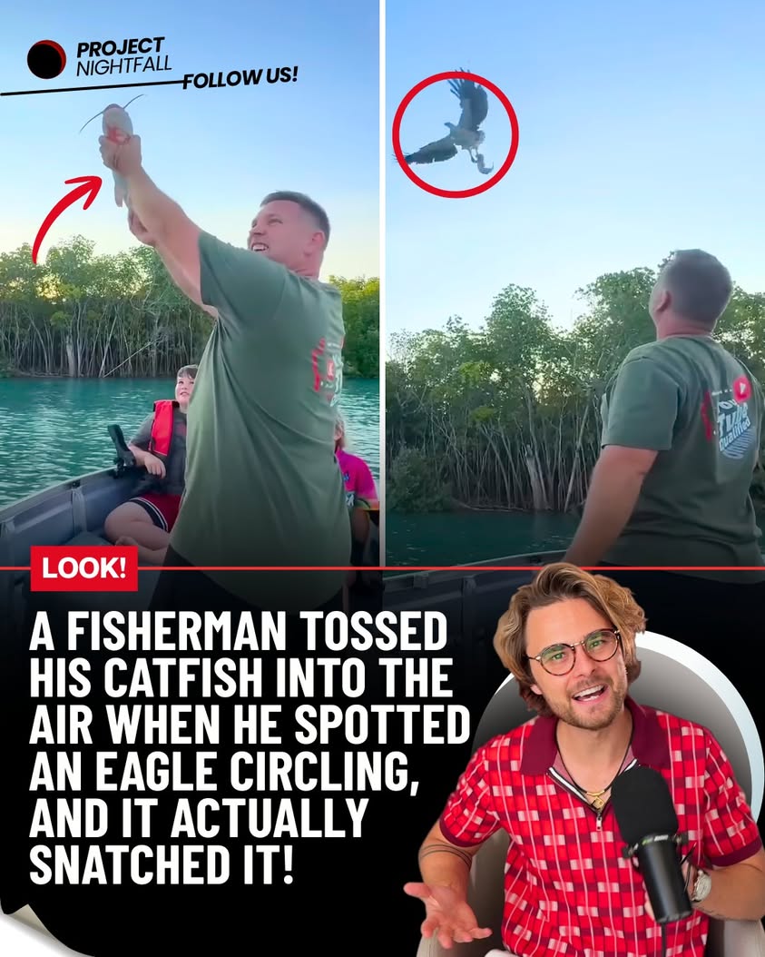 Death from above! Eagle's viral mid-air snatch stuns world