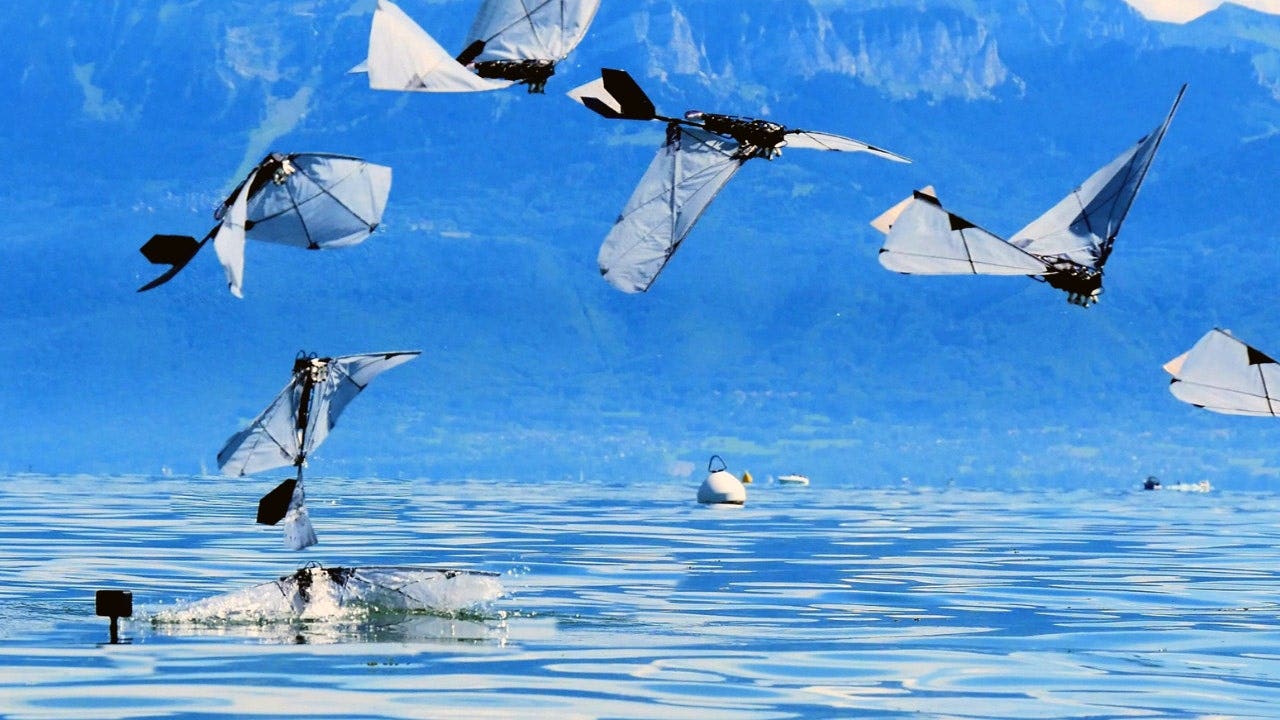 Robot bird swims underwater then flies away