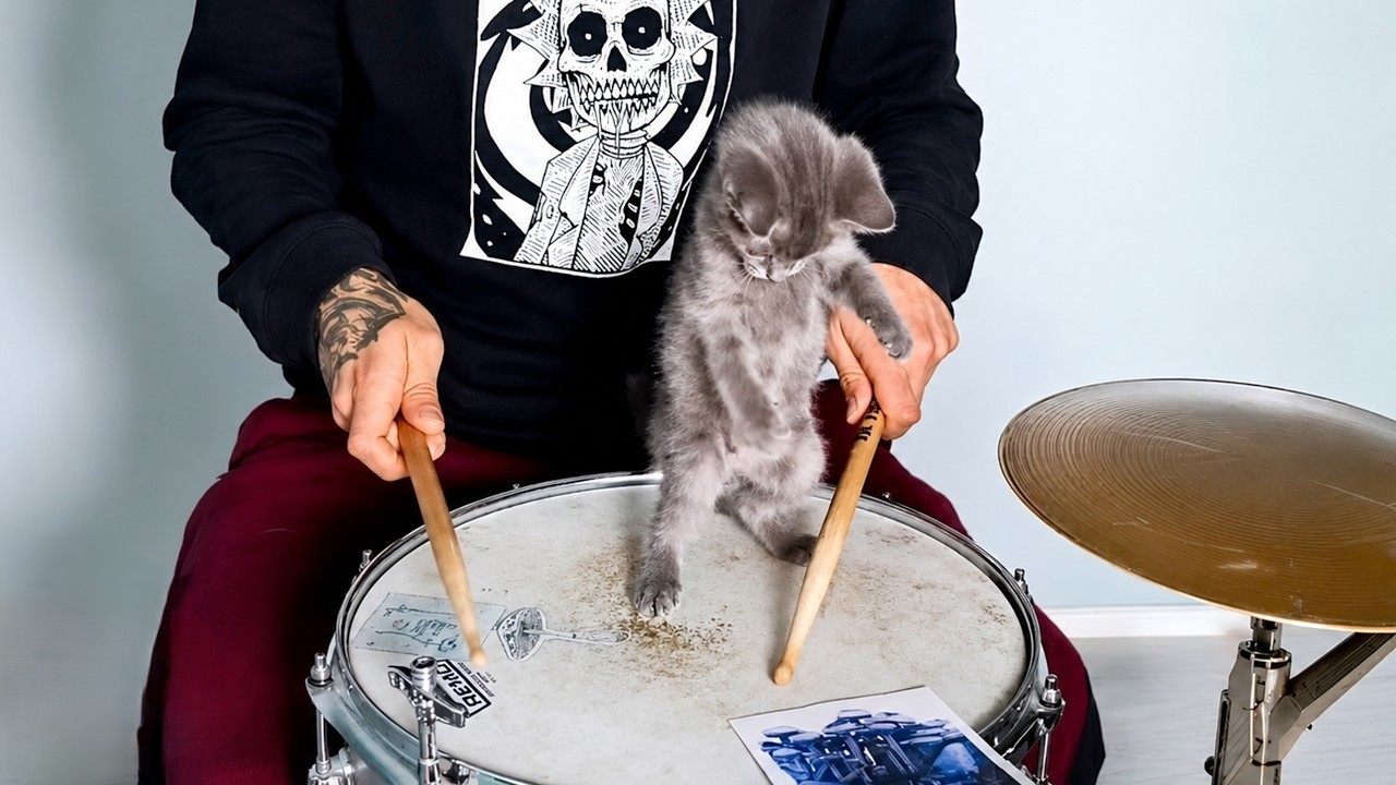 Tiny kitten runs to dad every time he plays the drums