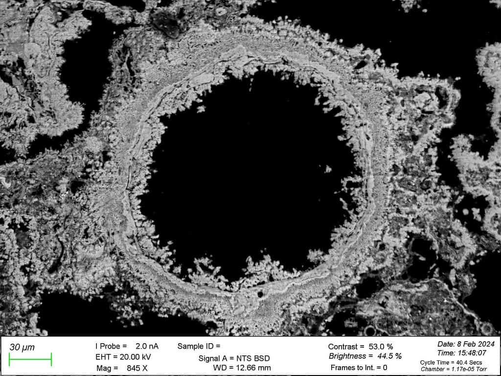 The CaO hydration rim composed of multi-morphological calcite. Credit: Science Advances