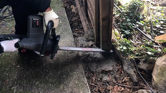 The McCarthys neighbours filmed themselves cutting down the couple's fence with a chainsaw and submitted it to the court