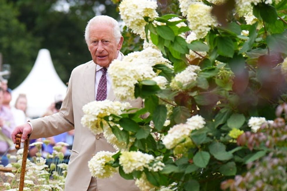 The King described the displays as ‘fantastic’ (Aaron Chown/PA) (PA Wire/PA Images - Aaron Chown)