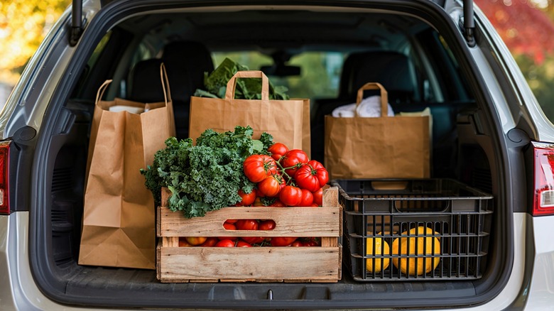 Groceries packed in the back of an SUV.