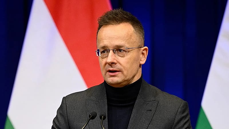 Hungary probes BYD deal after ex-minister joins carmaker, raising 'revolving door' concerns
