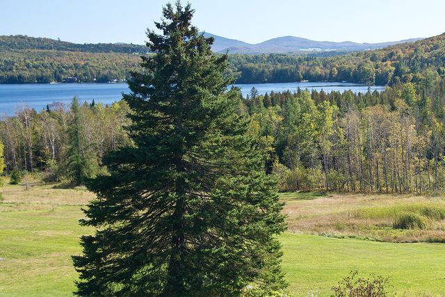 Morgan is a scenic town in Vermont